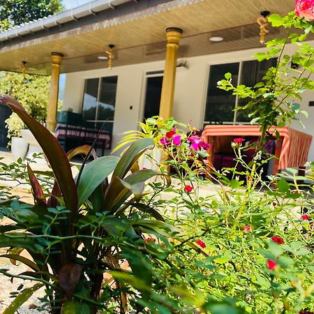 Cinnamon Homestay Ella Exteriér fotografie