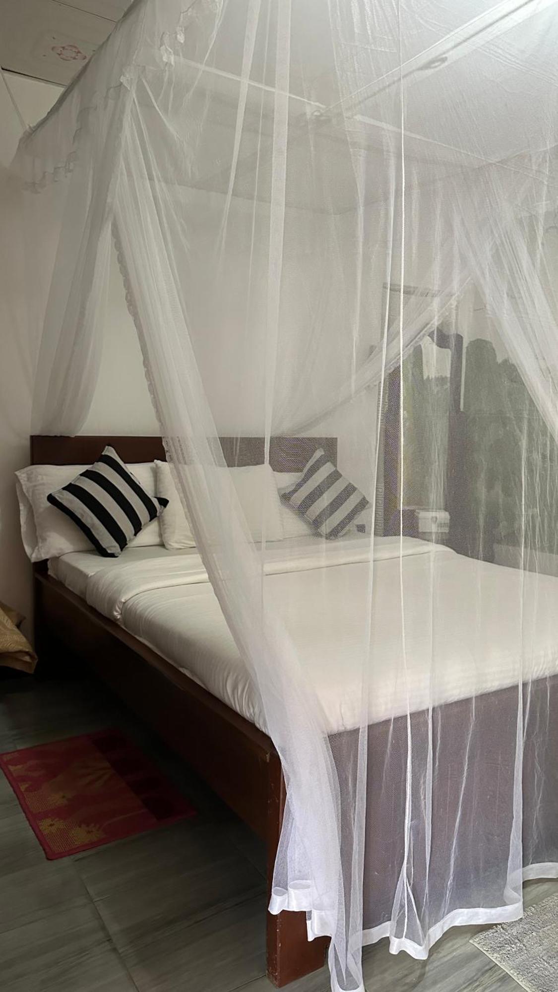 Cinnamon Homestay Ella Exteriér fotografie