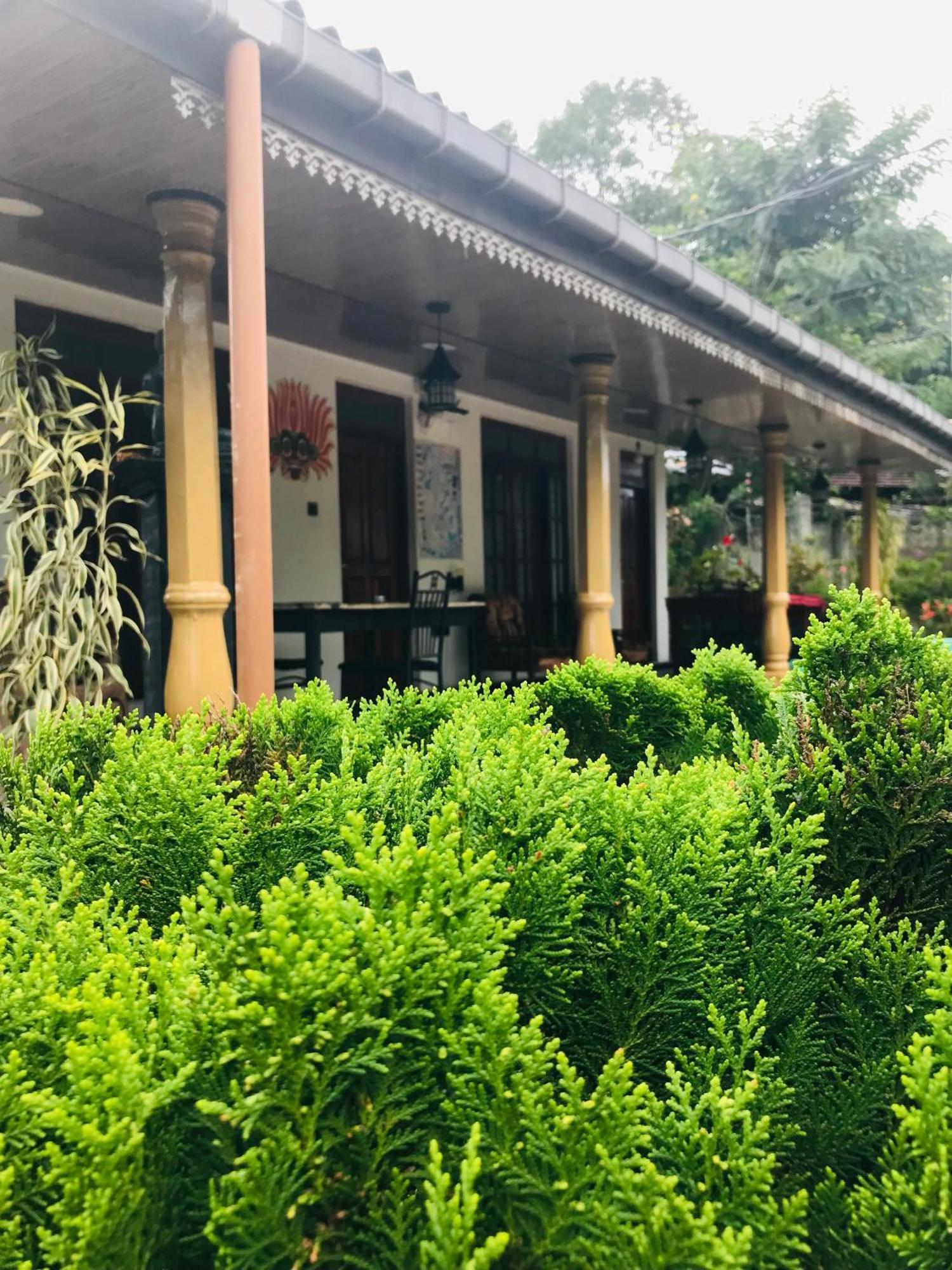 Cinnamon Homestay Ella Exteriér fotografie