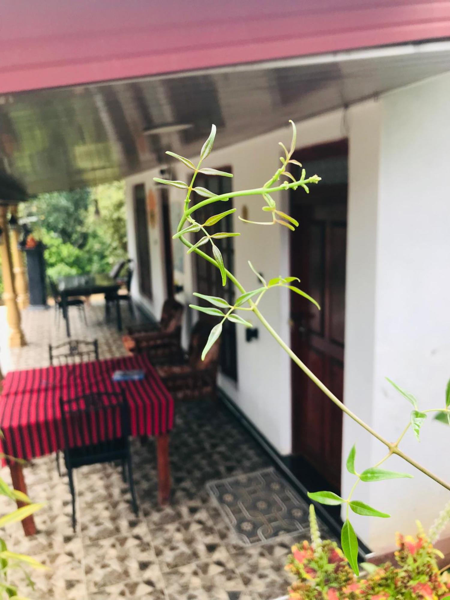Cinnamon Homestay Ella Exteriér fotografie