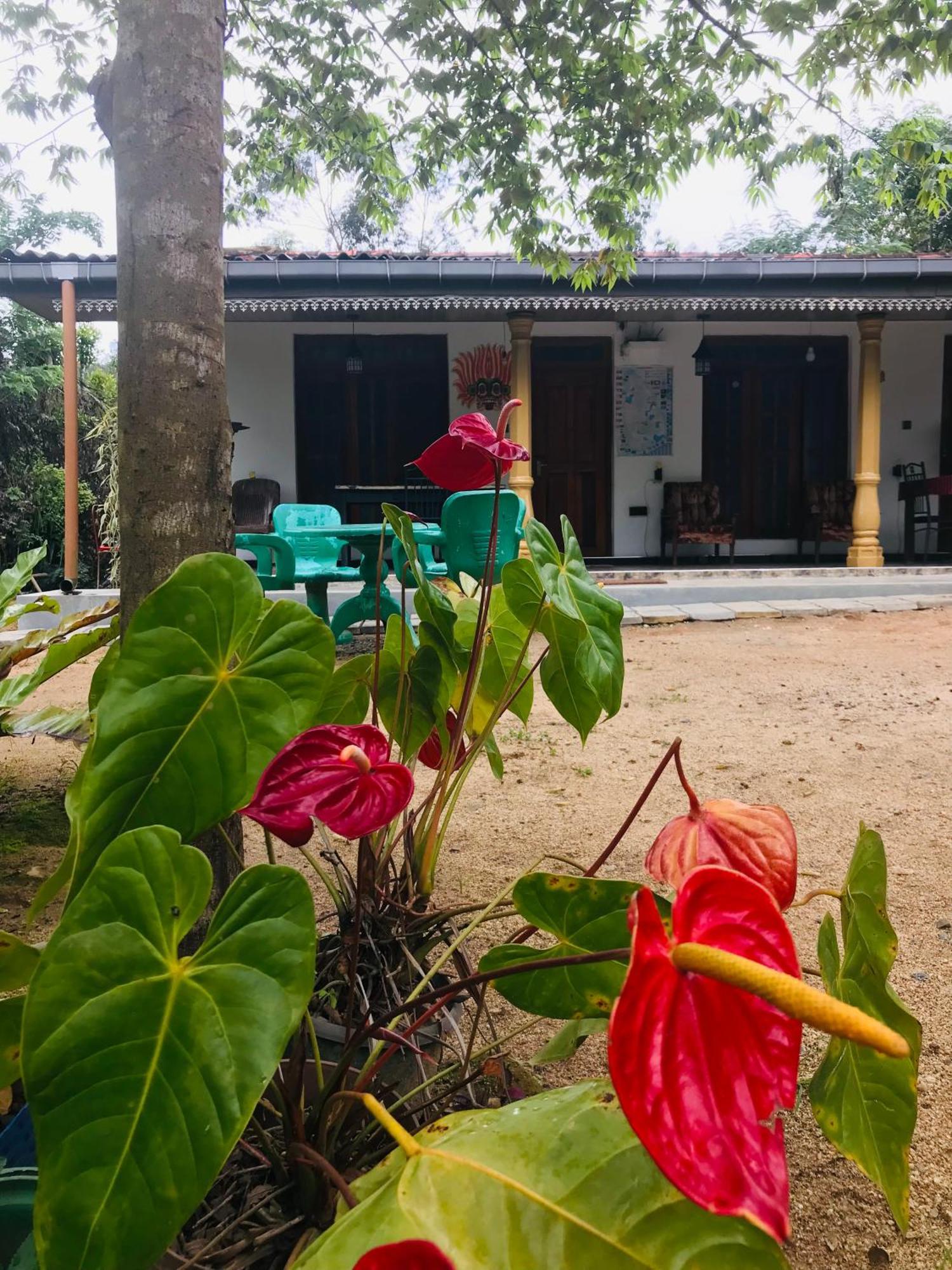 Cinnamon Homestay Ella Exteriér fotografie