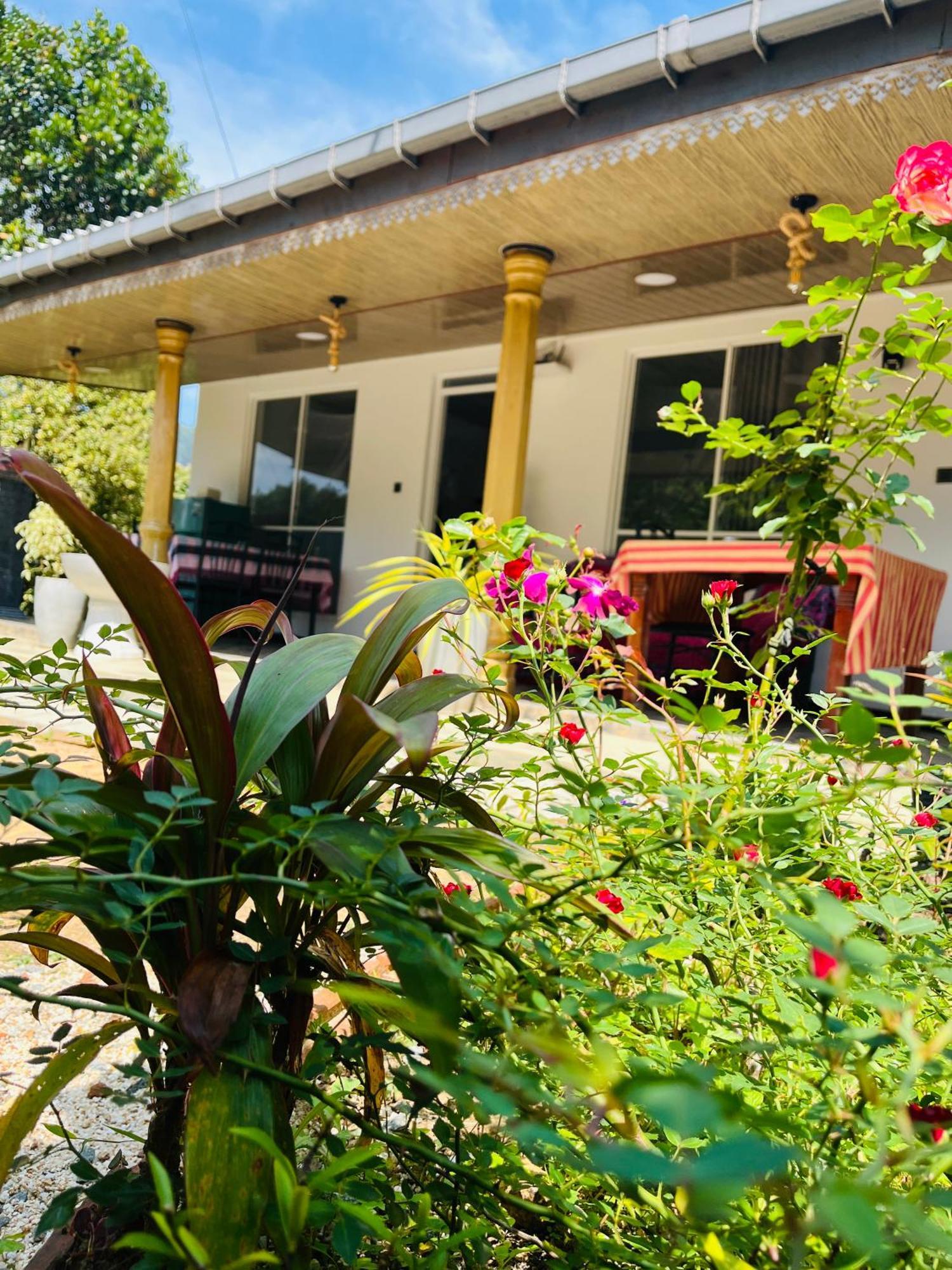 Cinnamon Homestay Ella Exteriér fotografie