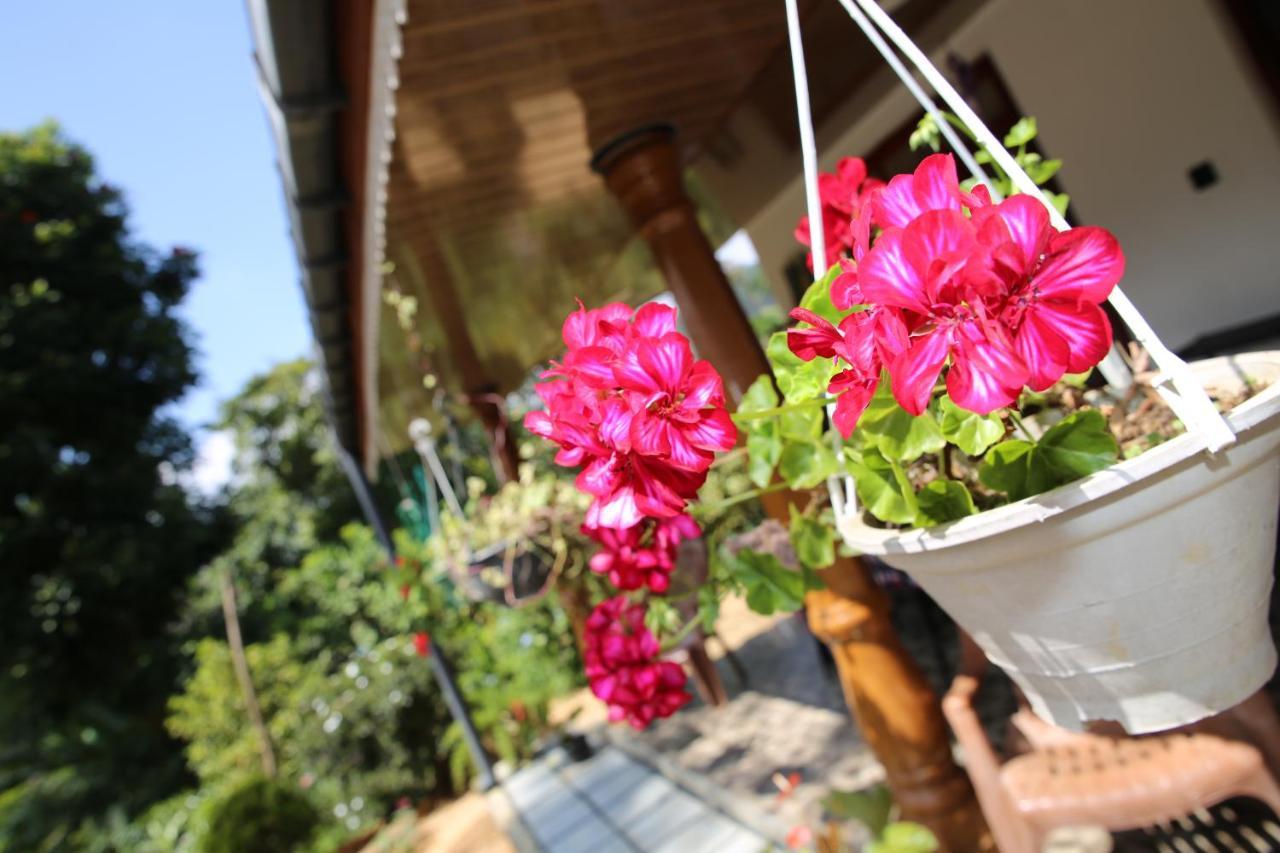 Cinnamon Homestay Ella Exteriér fotografie